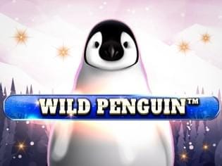 Wild Penguin thumbnail